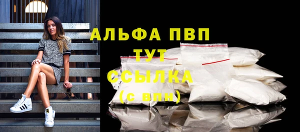 прущий лед Богданович