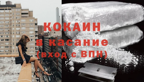 прущий лед Богданович