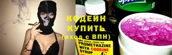 прущий лед Богданович