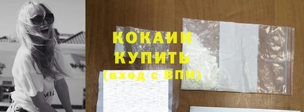 прущий лед Богданович