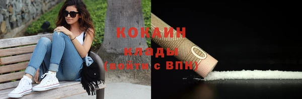 прущий лед Богданович