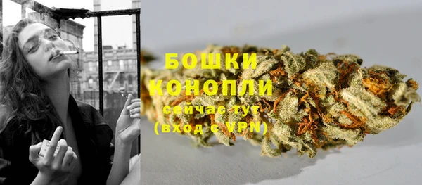 прущий лед Богданович