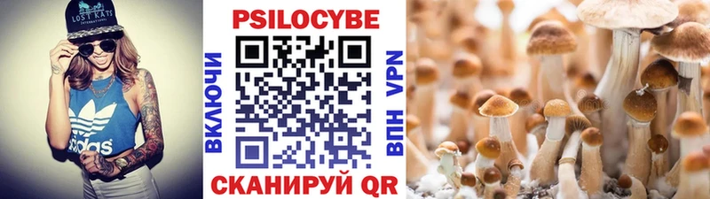 сколько стоит  Оха  Галлюциногенные грибы MAGIC MUSHROOMS 